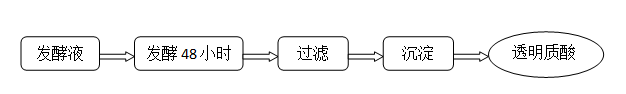 透明质酸厂家工艺流程_瑞恩生物